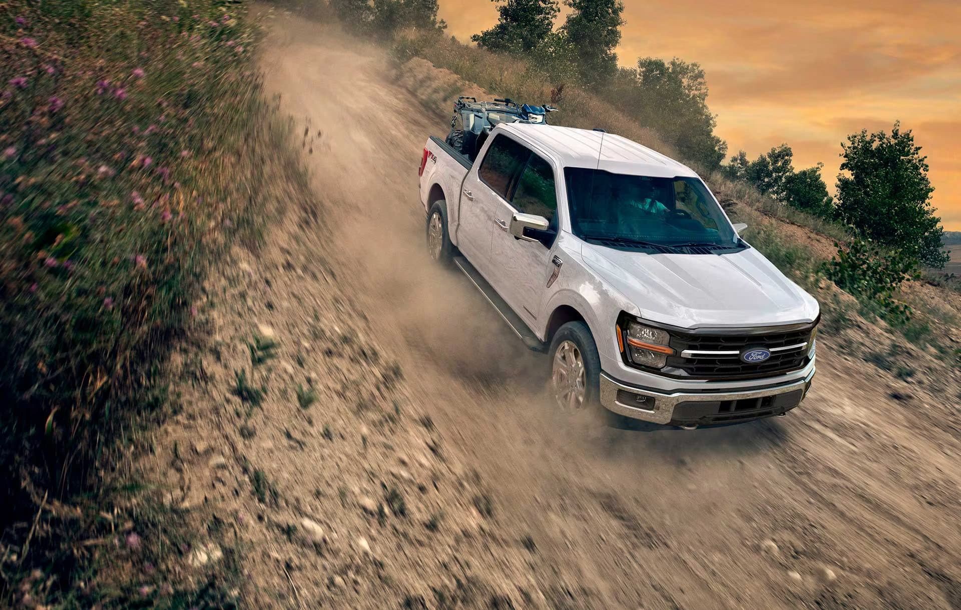 Ford F-150 — vista 1
