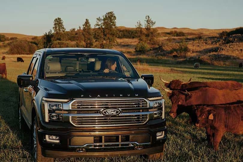 Ford Lobo — vista 1