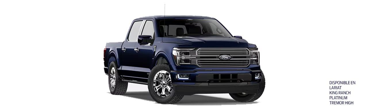 Ford Lobo — vista 5