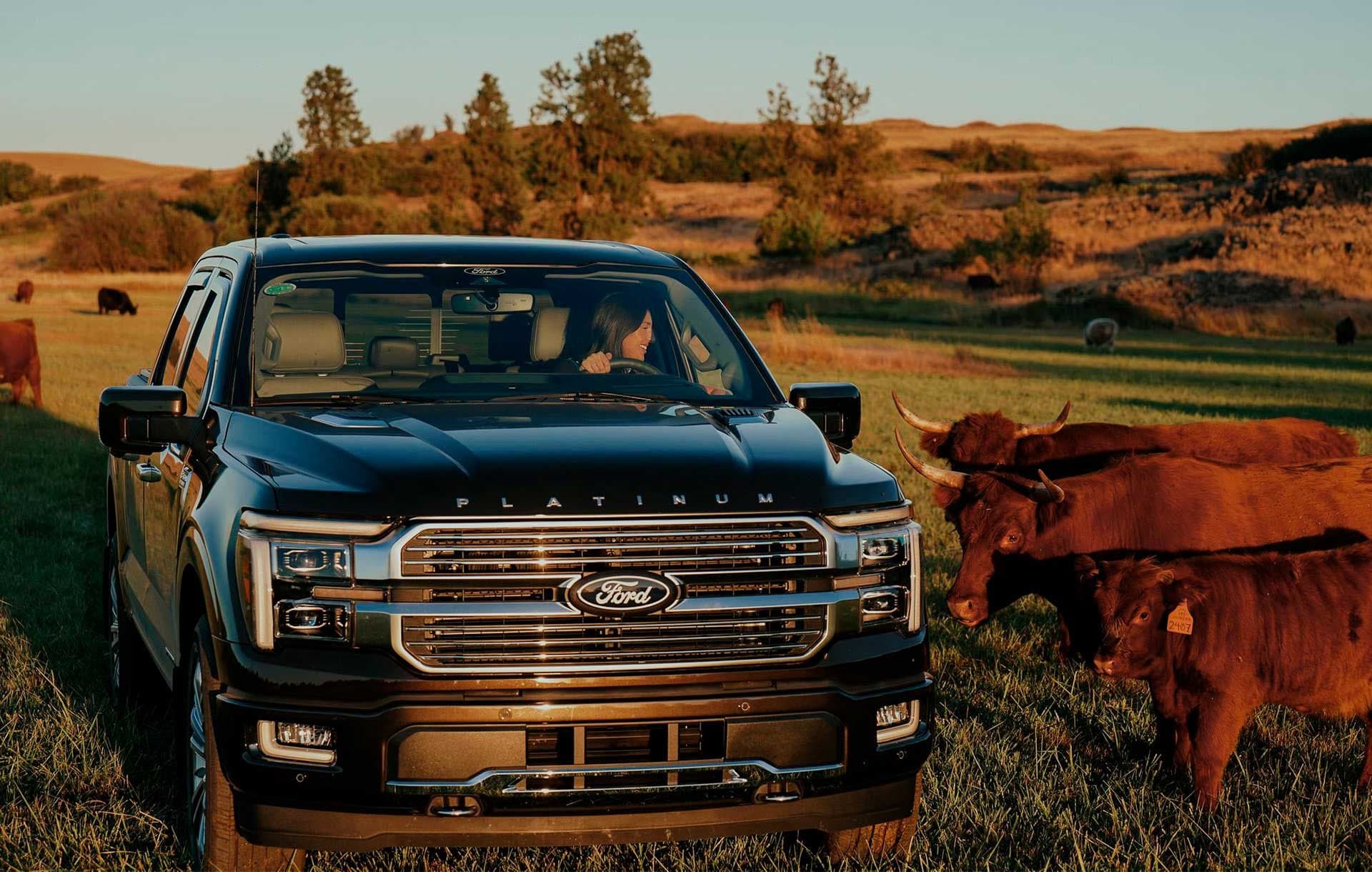 Ford Lobo Híbrida — vista 2