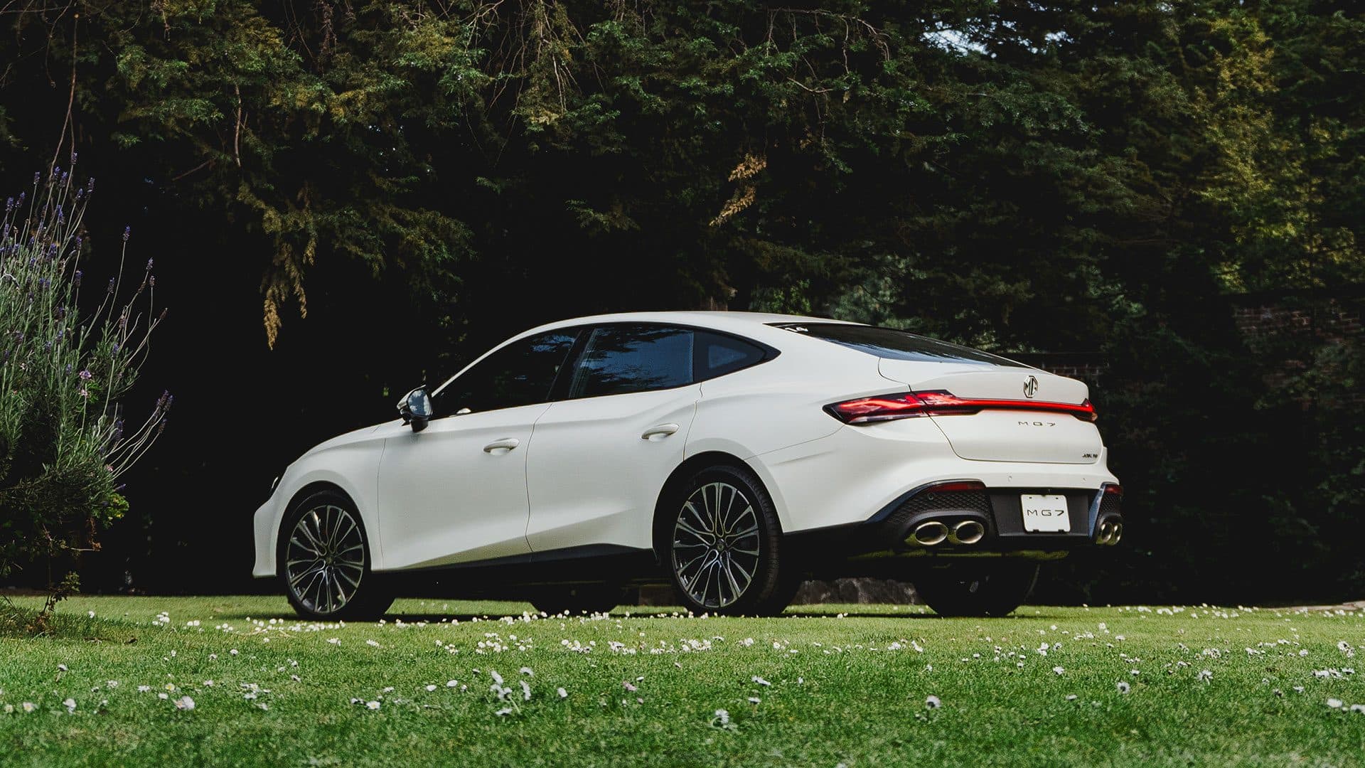 MG7 — vista 2